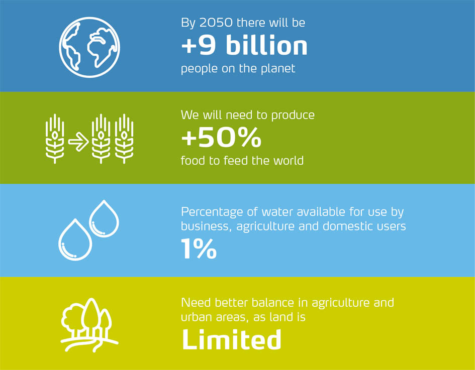 Field fertigation infographic